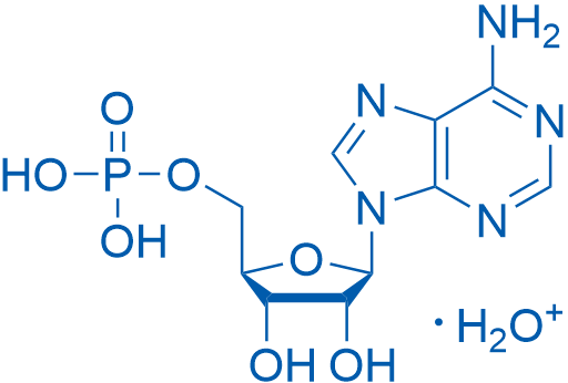 Adenosine 5'-monophosphate monohydrate 100g