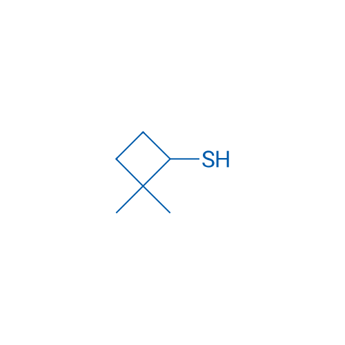2,2-Dimethylcyclobutane-1-thiol 1g