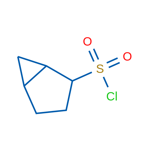Bicyclo[3.1.0]hexane-2-sulfonyl chloride 1g