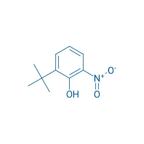 2-(tert-Butyl)-6-nitrophenol 250mg