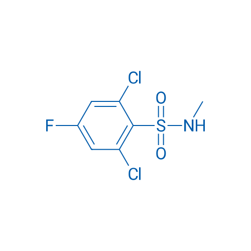 2,6-Dichloro-4-fluoro-N-methylbenzene-1-sulfonamide 1g