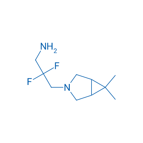 3-{6,6-dimethyl-3-azabicyclo[3.1.0]hexan-3-yl}-2,2-difluoropropan-1-amine 1g