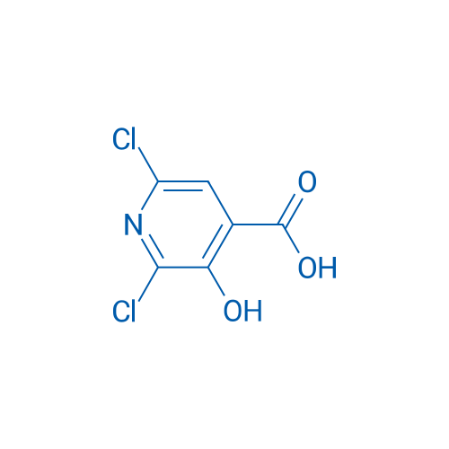2,6-Dichloro-3-hydroxyisonicotinic acid 250mg