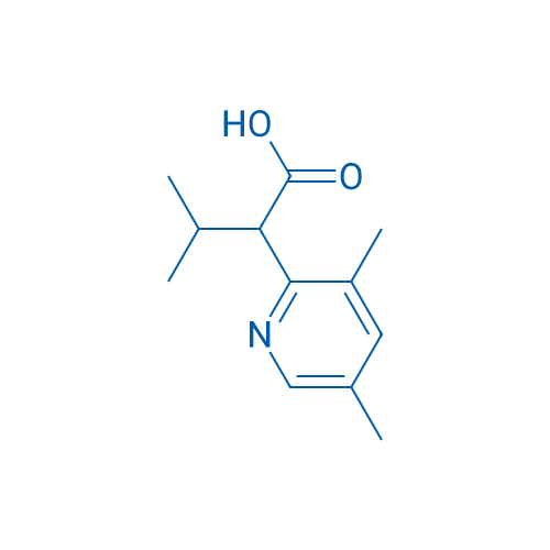 2-(3,5-Dimethylpyridin-2-yl)-3-methylbutanoic acid 1g