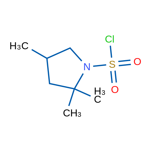 2,2,4-Trimethylpyrrolidine-1-sulfonyl chloride 1g