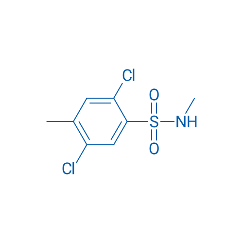 2,5-Dichloro-N,4-dimethylbenzene-1-sulfonamide 1g