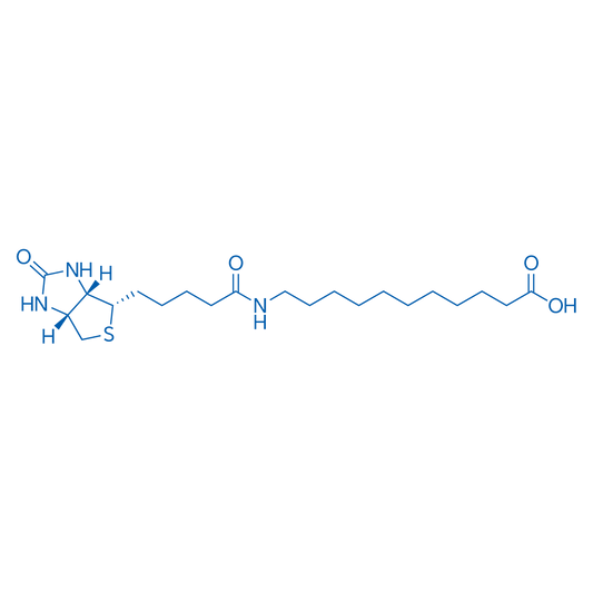 (+)-Biotin-SLC 1g