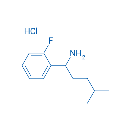 1-(2-Fluorophenyl)-4-methylpentan-1-amine hydrochloride 1g
