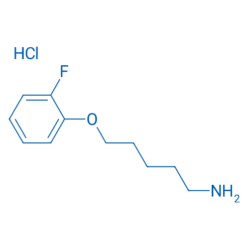 5-(2-Fluorophenoxy)pentan-1-amine hydrochloride 1g