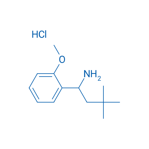 1-(2-Methoxyphenyl)-3,3-dimethylbutan-1-amine hydrochloride 1g