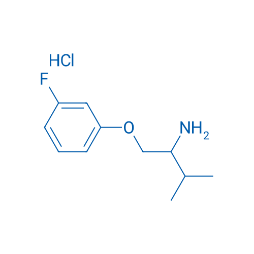 1-(3-Fluorophenoxy)-3-methylbutan-2-amine hydrochloride 1g