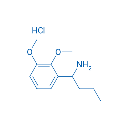 1-(2,3-Dimethoxyphenyl)butan-1-amine hydrochloride 1g