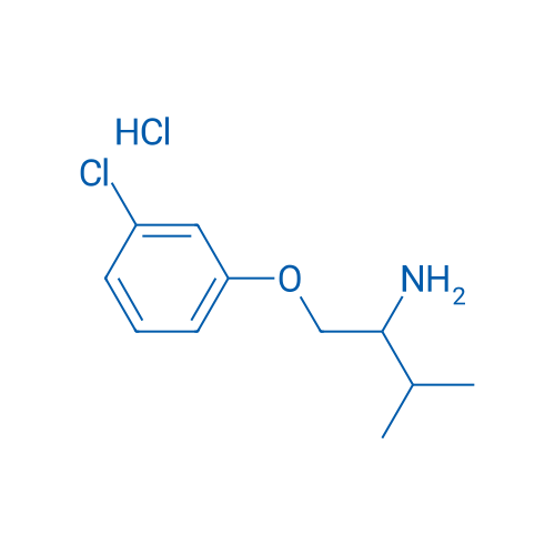 1-(3-Chlorophenoxy)-3-methylbutan-2-amine hydrochloride 5g