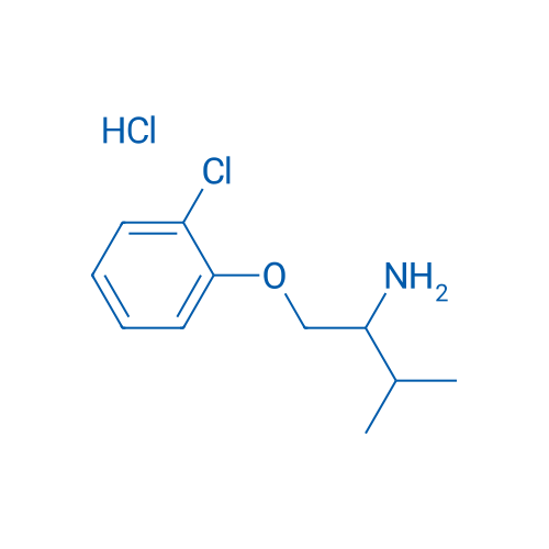 1-(2-Chlorophenoxy)-3-methylbutan-2-amine hydrochloride 1g
