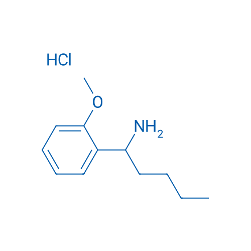 1-(2-Methoxyphenyl)pentan-1-amine hydrochloride 1g