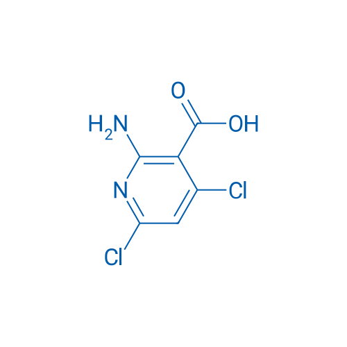 2-Amino-4,6-dichloronicotinic acid 1g