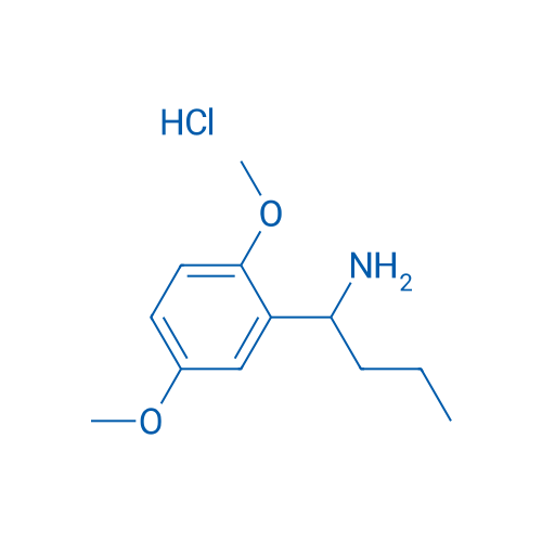 1-(2,5-Dimethoxyphenyl)butan-1-amine hydrochloride 1g