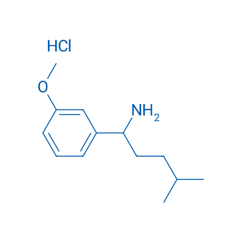 1-(3-Methoxyphenyl)-4-methylpentan-1-amine hydrochloride 1g