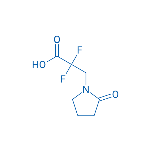 2,2-Difluoro-3-(2-oxopyrrolidin-1-yl)propanoic acid 1g