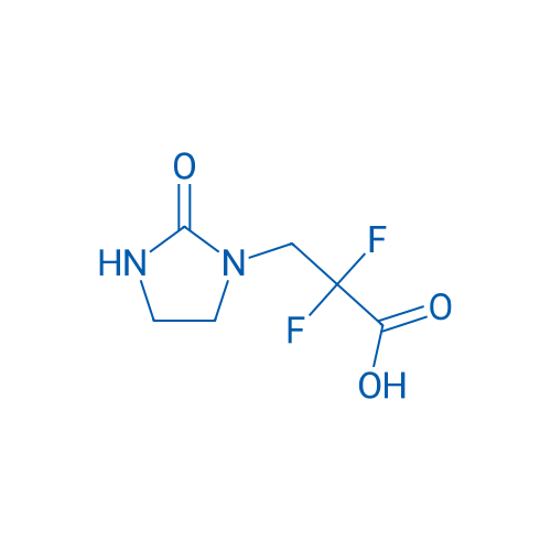 2,2-Difluoro-3-(2-oxoimidazolidin-1-yl)propanoic acid 1g