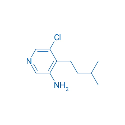 5-Chloro-4-(3-methylbutyl)pyridin-3-amine 1g