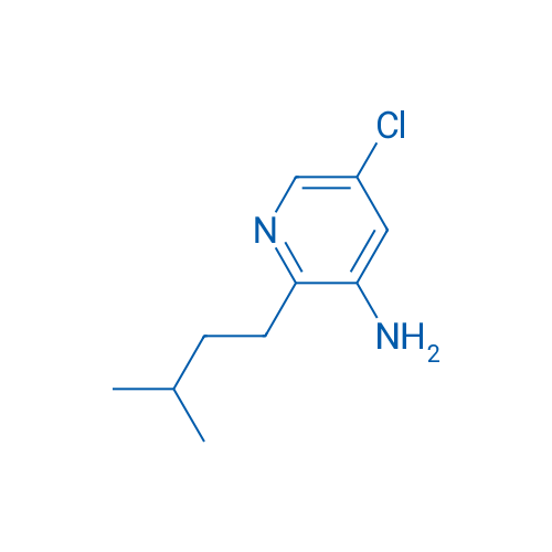 5-Chloro-2-(3-methylbutyl)pyridin-3-amine 1g