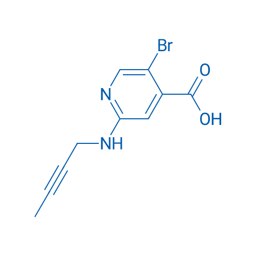 5-Bromo-2-[(but-2-yn-1-yl)amino]pyridine-4-carboxylic acid 1g