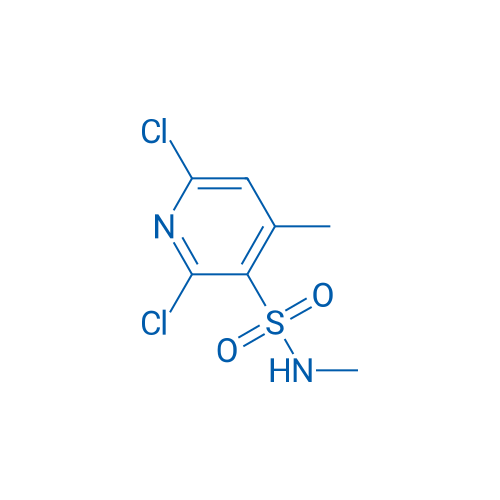 2,6-Dichloro-N,4-dimethylpyridine-3-sulfonamide 5g