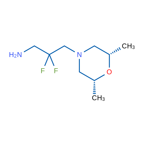 3-[(2R,6S)-2,6-Dimethylmorpholin-4-yl]-2,2-difluoropropan-1-amine 1g