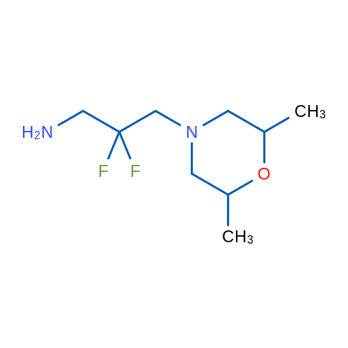 3-(2,6-Dimethylmorpholin-4-yl)-2,2-difluoropropan-1-amine 1g
