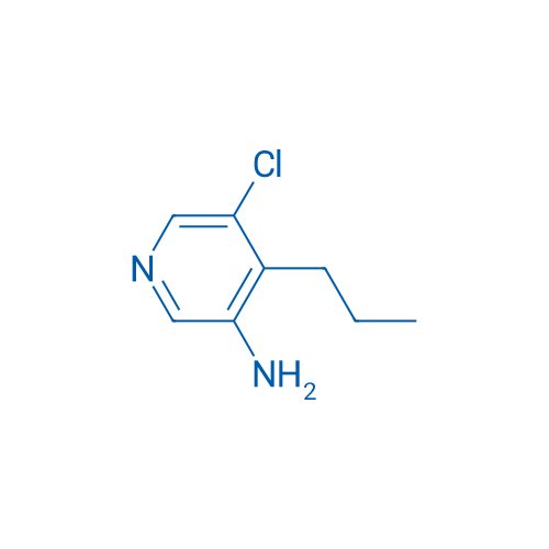 5-Chloro-4-propylpyridin-3-amine 1g