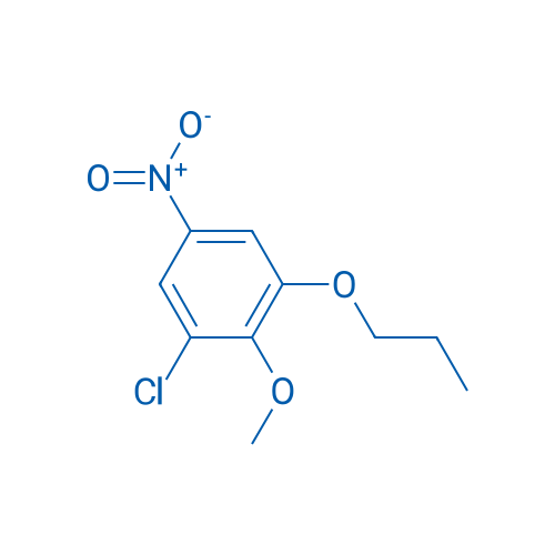 1-Chloro-2-methoxy-5-nitro-3-propoxybenzene 1g