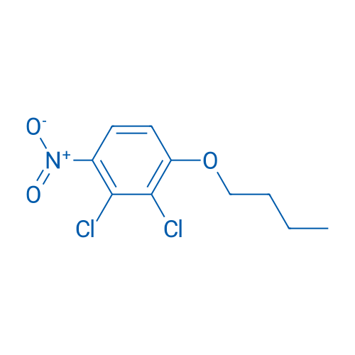 1-Butoxy-2,3-dichloro-4-nitrobenzene 5g