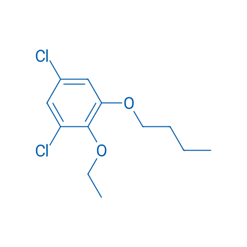 1-Butoxy-3,5-dichloro-2-ethoxybenzene 1g