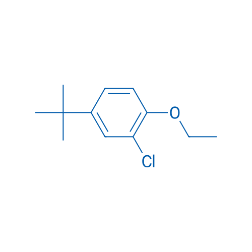 4-tert-Butyl-2-chloro-1-ethoxybenzene 5g