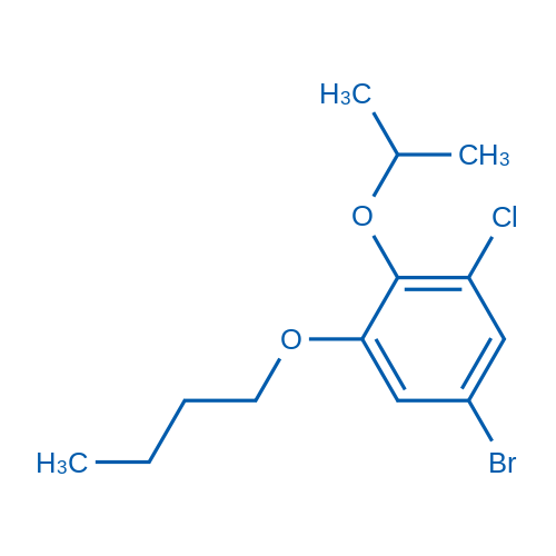 5-Bromo-1-butoxy-3-chloro-2-(propan-2-yloxy)benzene 1g