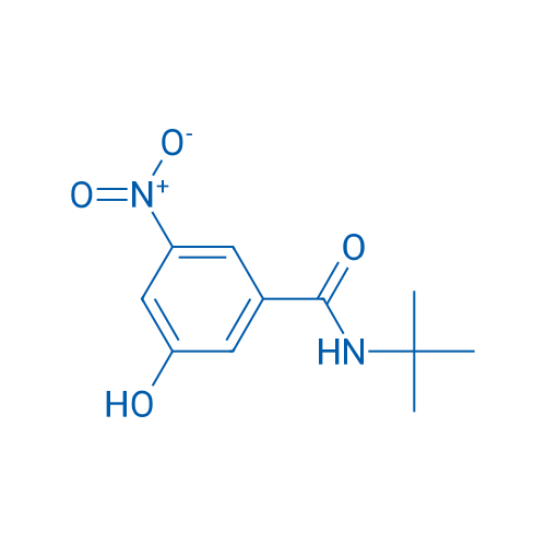 N-tert-Butyl-3-hydroxy-5-nitrobenzamide 5g
