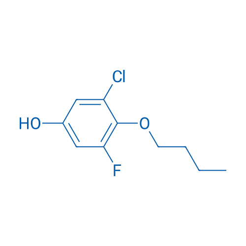 4-Butoxy-3-chloro-5-fluorophenol 1g