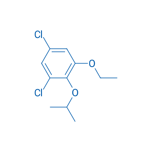 1,5-Dichloro-3-ethoxy-2-(propan-2-yloxy)benzene 1g