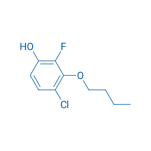 3-Butoxy-4-chloro-2-fluorophenol 1g