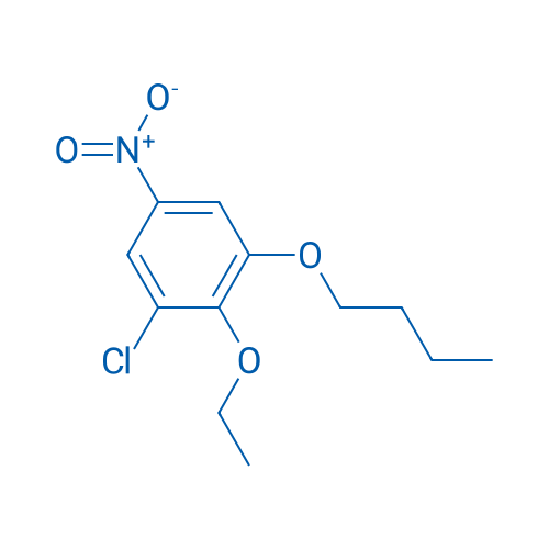 1-Butoxy-3-chloro-2-ethoxy-5-nitrobenzene 5g