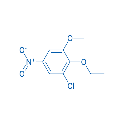 1-Chloro-2-ethoxy-3-methoxy-5-nitrobenzene 1g