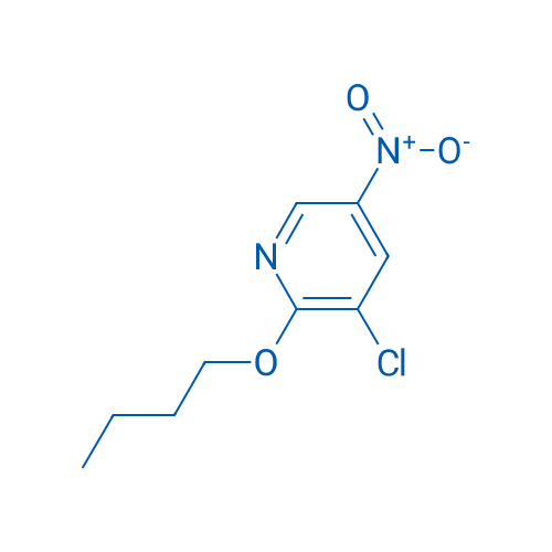 2-Butoxy-3-chloro-5-nitropyridine 1g