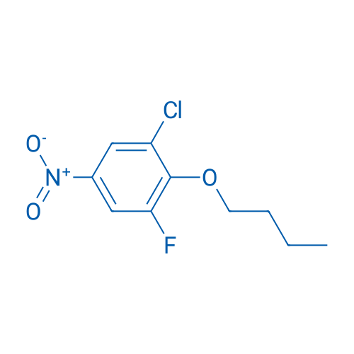 2-Butoxy-1-chloro-3-fluoro-5-nitrobenzene 1g
