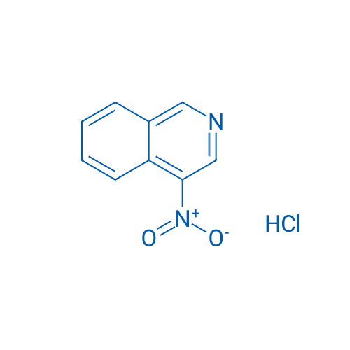 4-Nitroisoquinoline hydrochloride 1g
