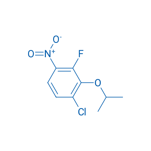 1-Chloro-3-fluoro-4-nitro-2-(propan-2-yloxy)benzene 1g