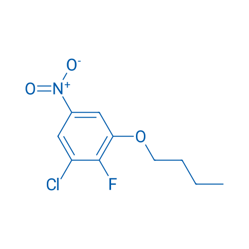 1-Butoxy-3-chloro-2-fluoro-5-nitrobenzene 1g