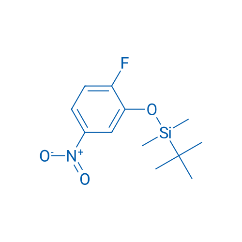 tert-Butyl(2-fluoro-5-nitrophenoxy)dimethylsilane 1g