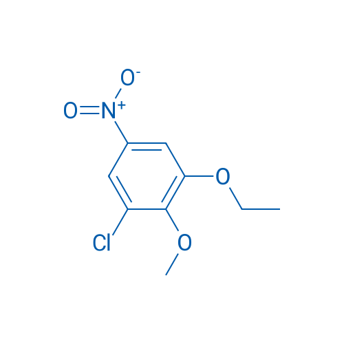 1-Chloro-3-ethoxy-2-methoxy-5-nitrobenzene 1g