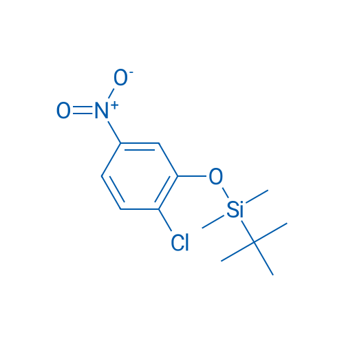 tert-Butyl(2-chloro-5-nitrophenoxy)dimethylsilane 1g